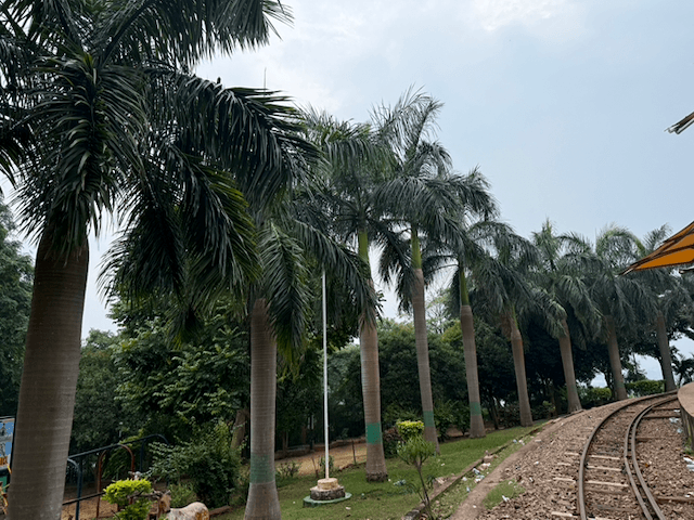 Kailasagiri Hill Park photo 4