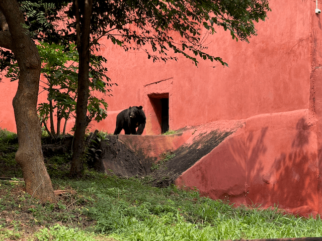 Indira Gandhi Zoological Park photo 3