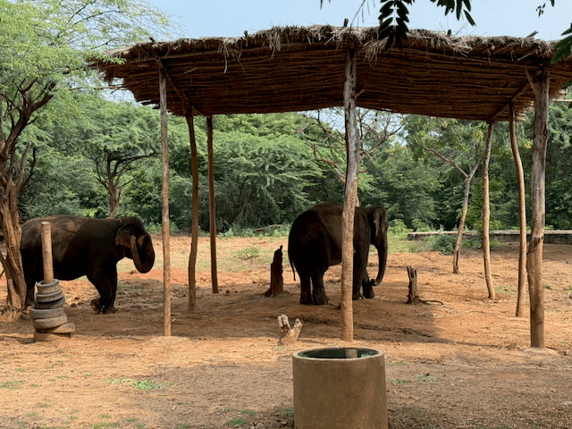 Indira Gandhi Zoological Park photo 1