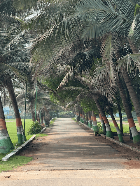 VUDA Park (Taraka Rama Park) photo 7