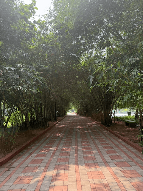 VUDA Park (Taraka Rama Park) photo 5