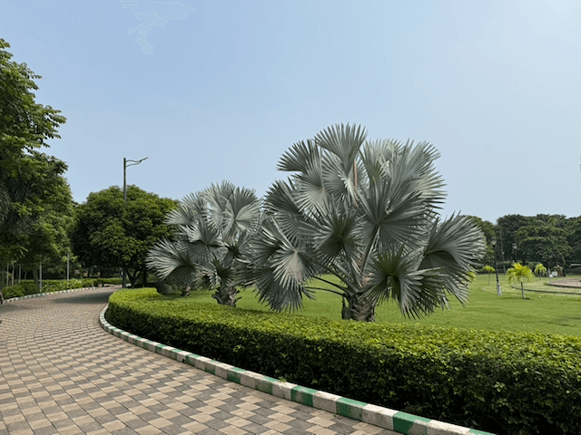 VUDA Park (Taraka Rama Park) photo 3