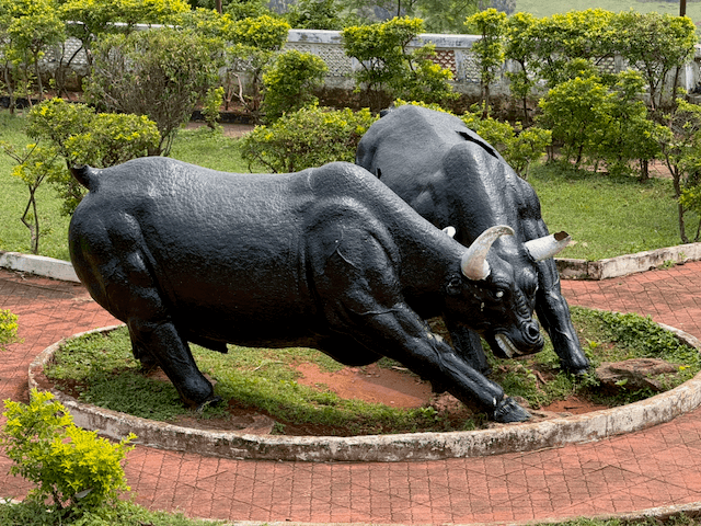 Ramanaidu Studios photo 2